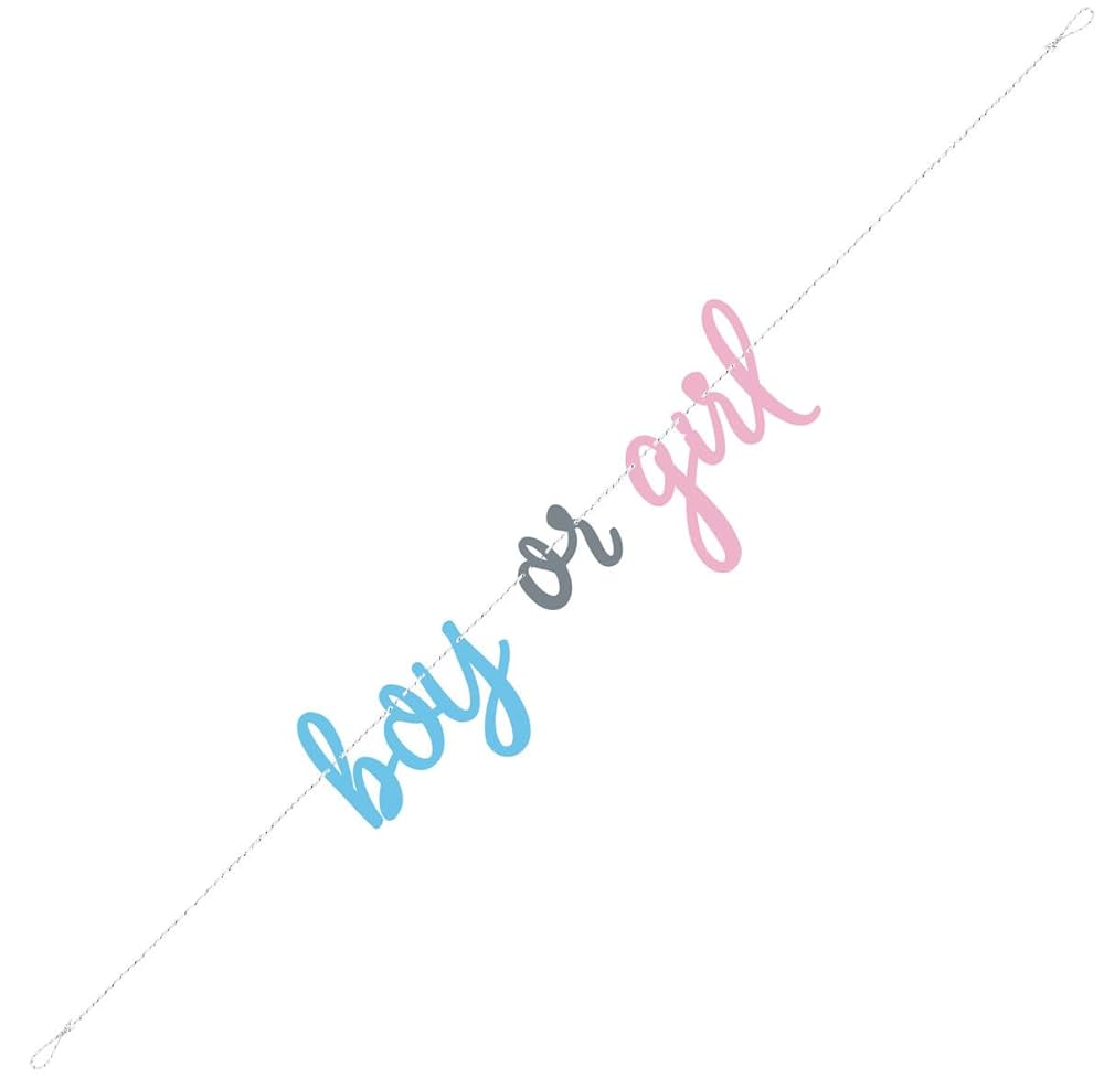 Gender Reveal Boy or Girl Paper Banner