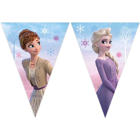 Disney Frozen 2 Bunting Flag Banner